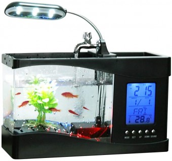 USB MINI DESKTOP AQUARIUM | SMALL FISH TANK WITH LED CLOCK 