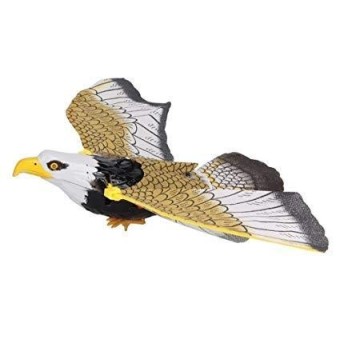 Revolve Fly String Eagle