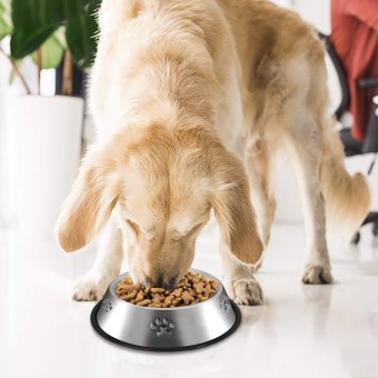 Stainless Steel Dog Feeding Bowl With Anti-Slip Rubber Base For Easy And Clean Feeding